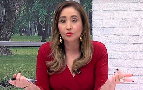 A apresentadora Sonia Abrão no cenário do A programa Tarde É Sua, da RedeTV!, na quarta-feira (19)