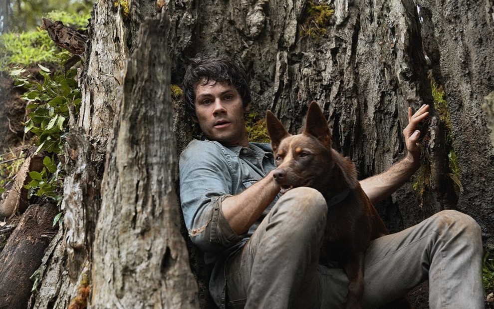 Dylan O'Brien e cachorro em cena de Amor e Monstros