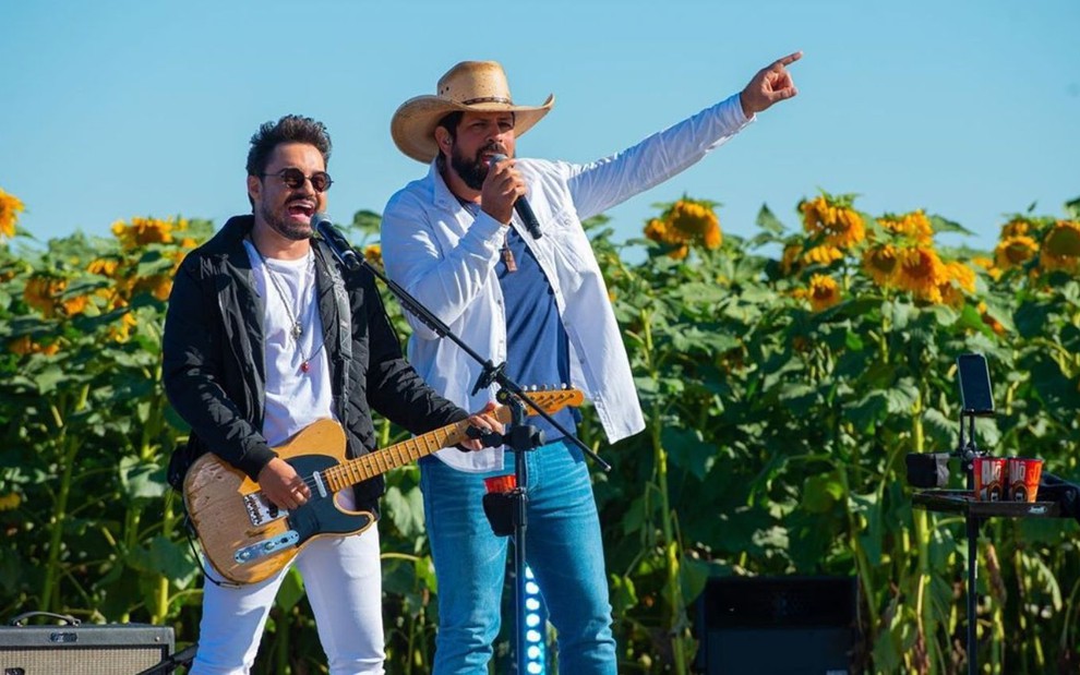 Fernando & Sorocaba cantando lado a lado durante live em um campo de girassóis