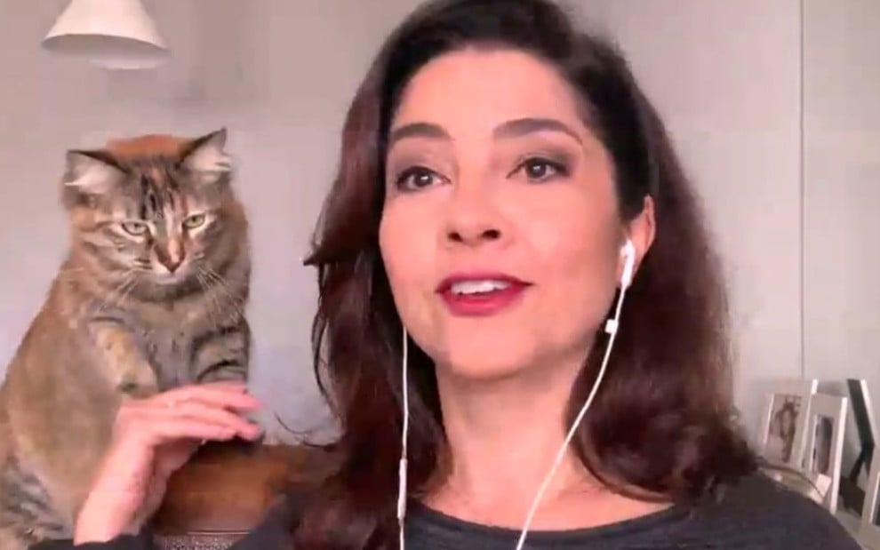 Imagem da jornalista Carolina Bahia com sua gata durante link ao vivo na Globo