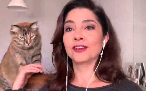 Imagem da jornalista Carolina Bahia com sua gata durante link ao vivo na Globo