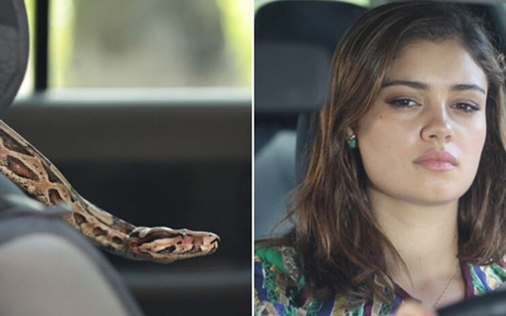 Montagem de uma cobra e atriz Sophie Charlotte como Amália de Fina Estampa: personagem está dirigindo carro