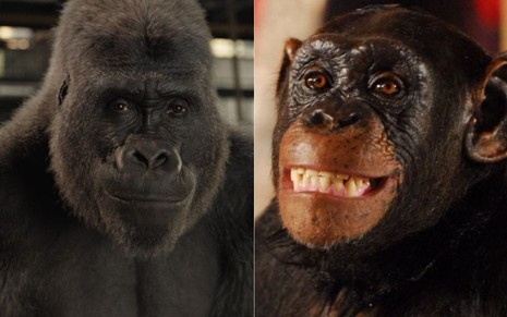 Montagem de fotos com Ivan no filme do Disney+, e macaco Xico em Caras & Bocas