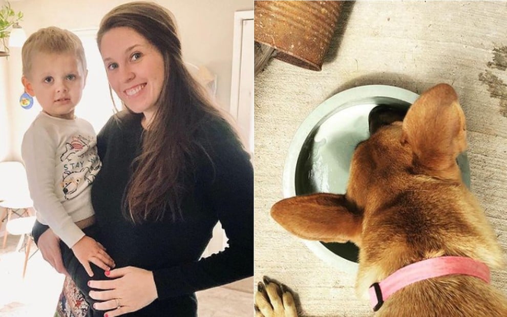 Montagem com Jill Duggar com o filho Sam no colo; e cão da família bebendo o leite materno na sua tigela de comida