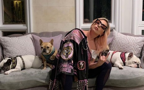 A cantora Lady Gaga sentada em um sofá posa para foto junto de três de seus cachorros