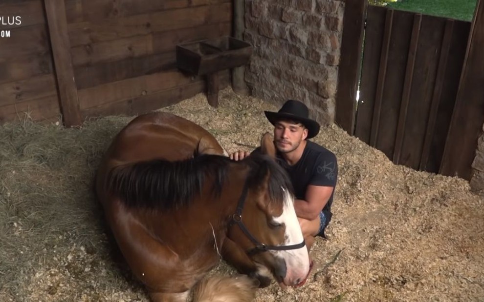 Estábulo do reality show A Fazenda 11: Lucas Viana acaricia o cavalo Lyon