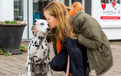 Bailey (Erika Christensen) dá um beijinho em um cachorro dálmata em cena do filme Um Amor Verdadeiro (2014)