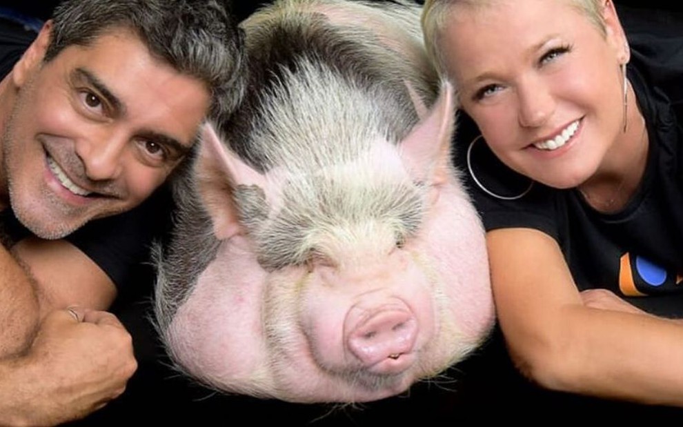 Junno Andrade e Xuxa posam com um porco vivo e adulto em foto publicada no Instagram em dezembro de 2019