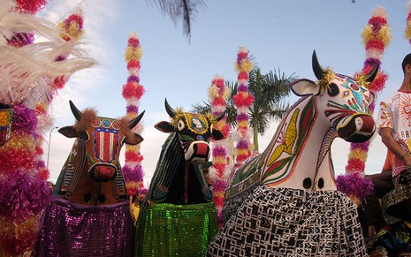 Representação de boi durante festejo do Boi-Bumbá, no Maranhão