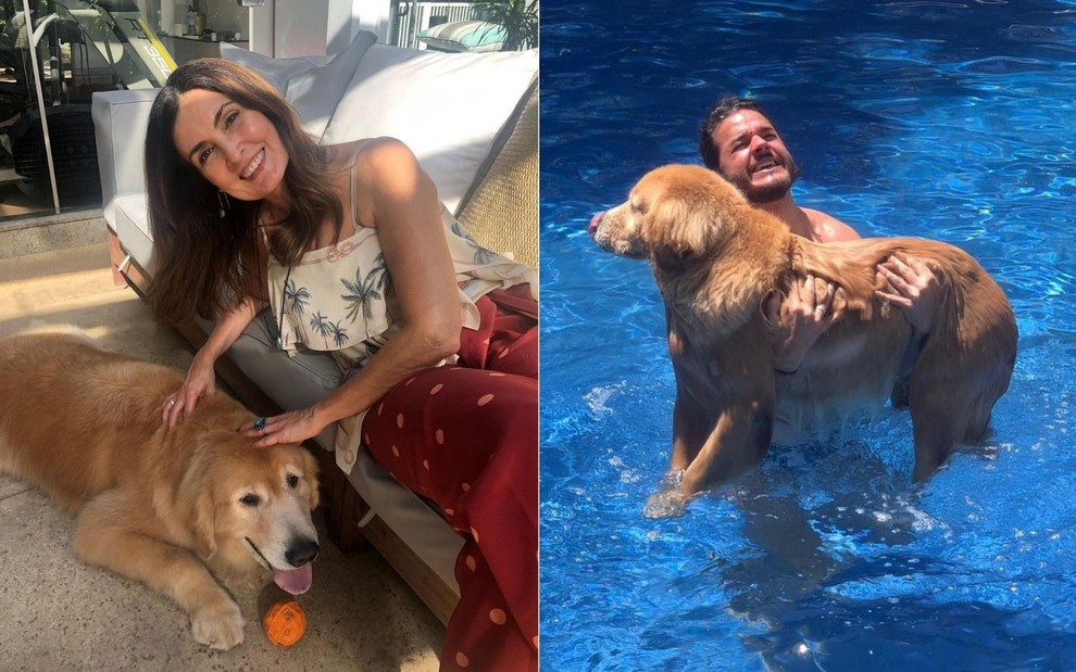 Montagem de Fátima Bernardes acariciando Golden Retriever Gulliver em sofá e Túlio com o cachorro na piscina
