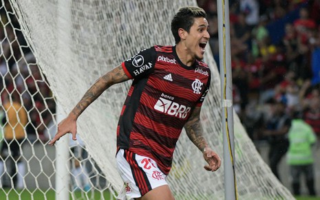 Imagem de Pedro, atacante do Flamengo, na partida da Libertadores