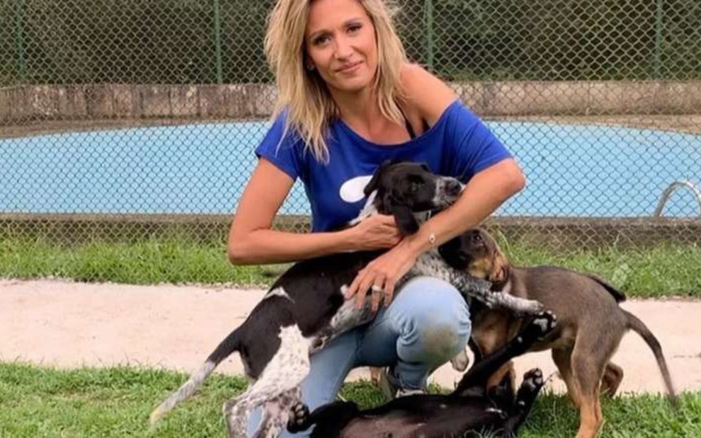 A ativista Luisa Mell está sentada enquanto brinca com vários cachorros ao seu redor