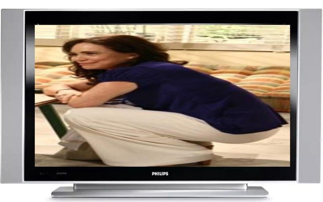 TV de plasma vendida em 2006 com imagem da atriz Regina Duarte esticada