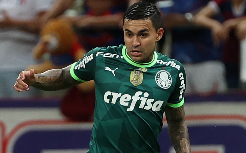 ACOMPANHE OS JOGOS DO PALMEIRAS EM 2019; SAIBA COMO