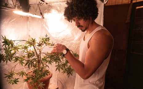 O ator Luis Navarro em cena de Pico da Neblina, em frente a pé de maconha, que está numa estufa caseira