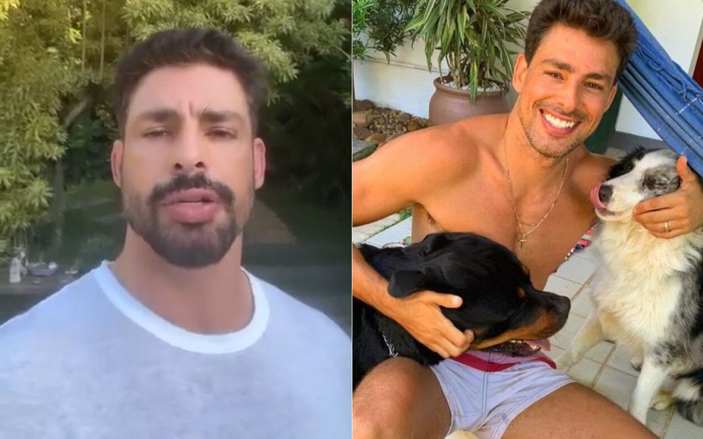 Montagem com fotos de Cauã Reymond gravando Stories e posando com os dois cachorros