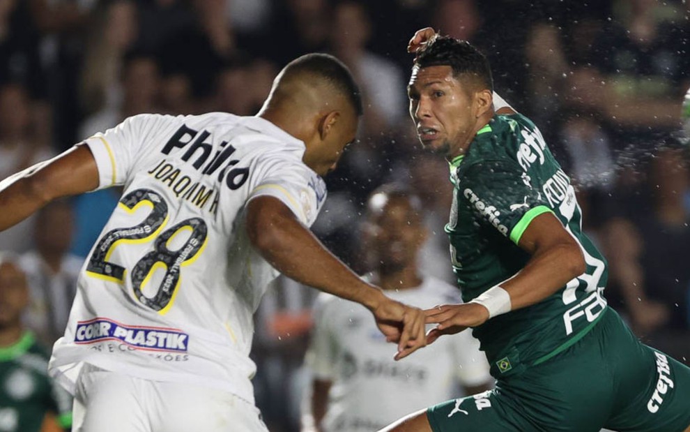 Palmeiras sai na frente do Santos na decisão do Paulista Feminino - Portal  O Piauí