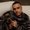 Liam Payne posa na cama com o cão Stan