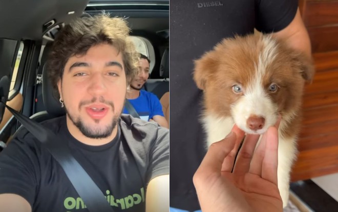 Montagem com fotos de Nattanzinho e de um border collie