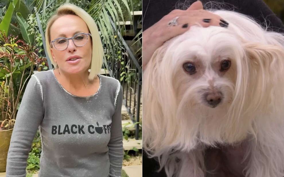 Montagem com Ana Maria Braga e a cadela Cristal