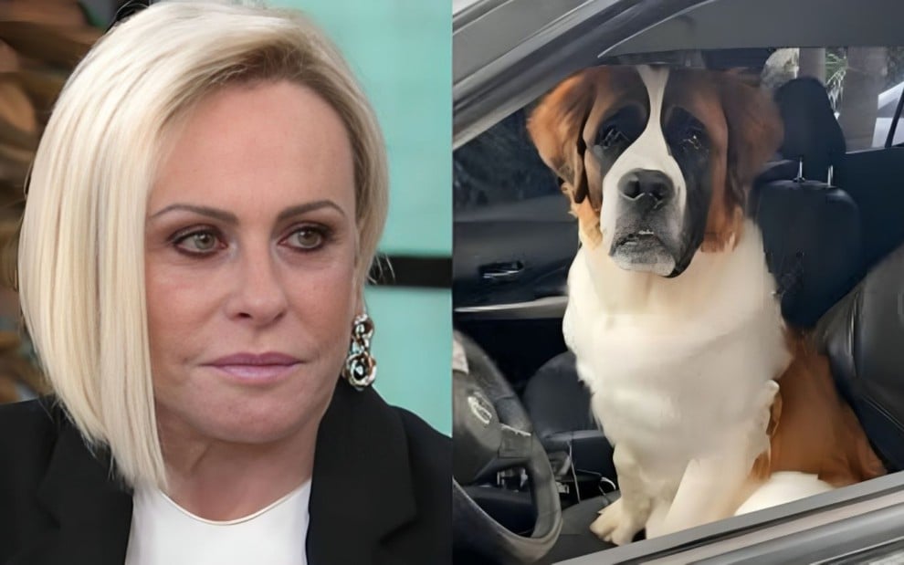 Na montagem estão: Ana Maria Braga (à esquerda) e Capuccino, seu cachorro (à direita)