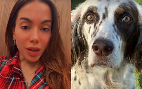 Montagem de Anitta e seu cachorro, Charlie