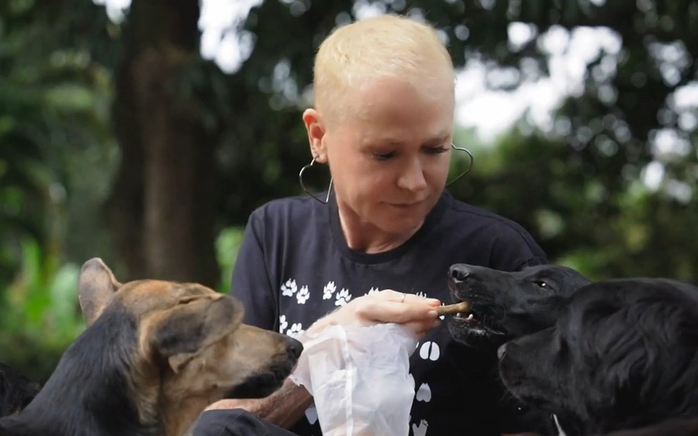 Xuxa Meneghel dá comida para cachorros no quadro Deu Petch!, do Fantástico