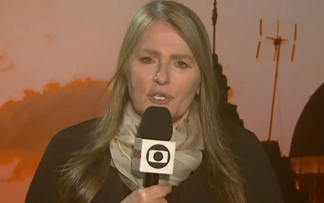 Ilze Scamparini em matéria exibida no Jornal Nacional