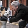 Parker Wilson (Richard Gere) em cena de Sempre ao seu Lado