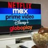 Imagem de uma pessoa na frente de uma TV, na tela do aparelho estão logos dos streamings Netflix, Max, Prime Video, Disney+ e Globoplay