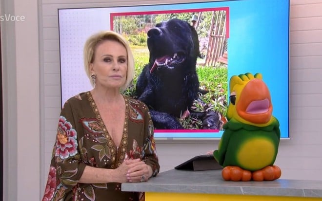 Ana Maria Braga e Louro José prestam homenagem a Barney, cão que ajudou nas buscas em Brumadinho - REPRODUÇÃO/TV GLOBO