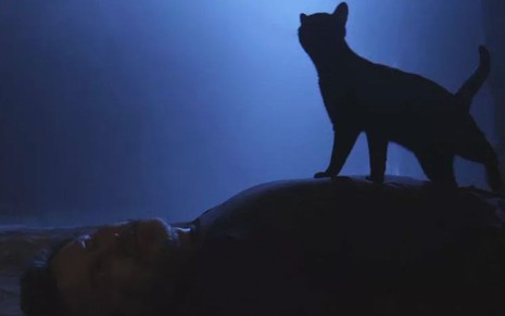O gato León em cima do corpo de Egídio (Antonio Calloni) em cena de O Sétimo Guardião - Reprodução/TV Globo