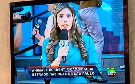 Falsa repórter do SBT Brasil em gravação de pegadinha do Programa Silvio Santos - Divulgação/SBT