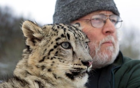 Imagem do documentário Leopardo das Neves, que será exibido em sete partes pelo Animal Planet - Divulgação/Animal Planet