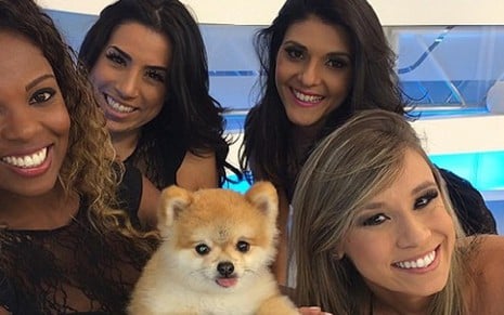 Paçoca, cachorro de Celso Zucatelli, do Hoje em Dia, com dançarinas do cantor Gusttavo Lima - Reprodução/Instagram