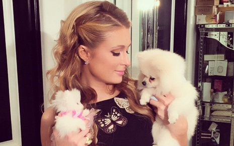A socialite Paris Hilton posa com dois dos seis cachorros que vão morar em casa de dois andares - Reprodução/Instagram