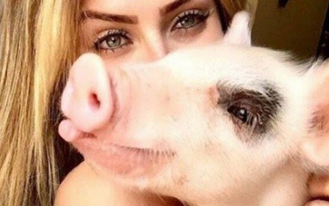 A vencedora do BBB19 Paula von Sperling com sua porca, Pippa, que estava 'de mal' dela - Reprodução/Instagram