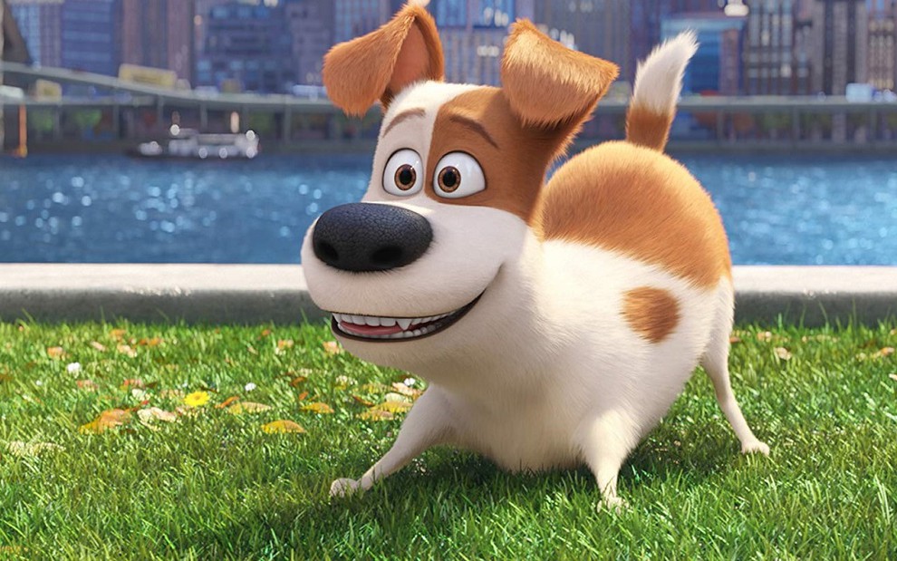 O cãozinho Max em Pets - A Vida Secreta dos Bichos, filme exibido na Tela de Sucessos de sexta (28) - UNIVERSAL PICTURES/DIVULGAÇÃO