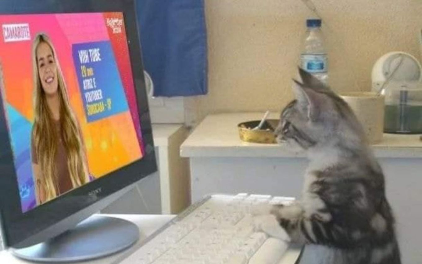cabina Superficial Perenne BBB21: Após cuspir na boca de um gato, Viih Tube vira 'alvo' de felinos na  web · Notícias da TV