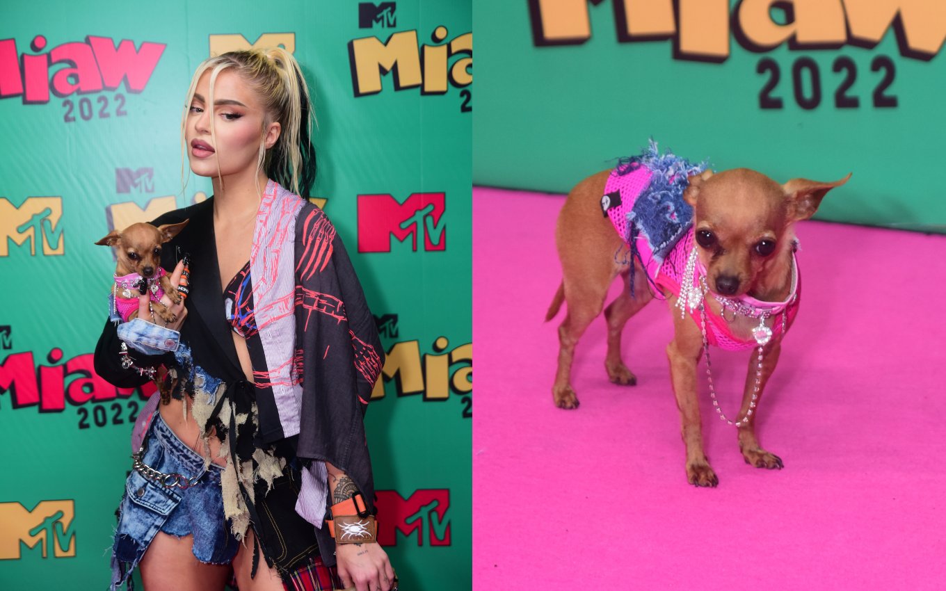 Luísa Sonza leva a própria cachorrinha para evento da MTV