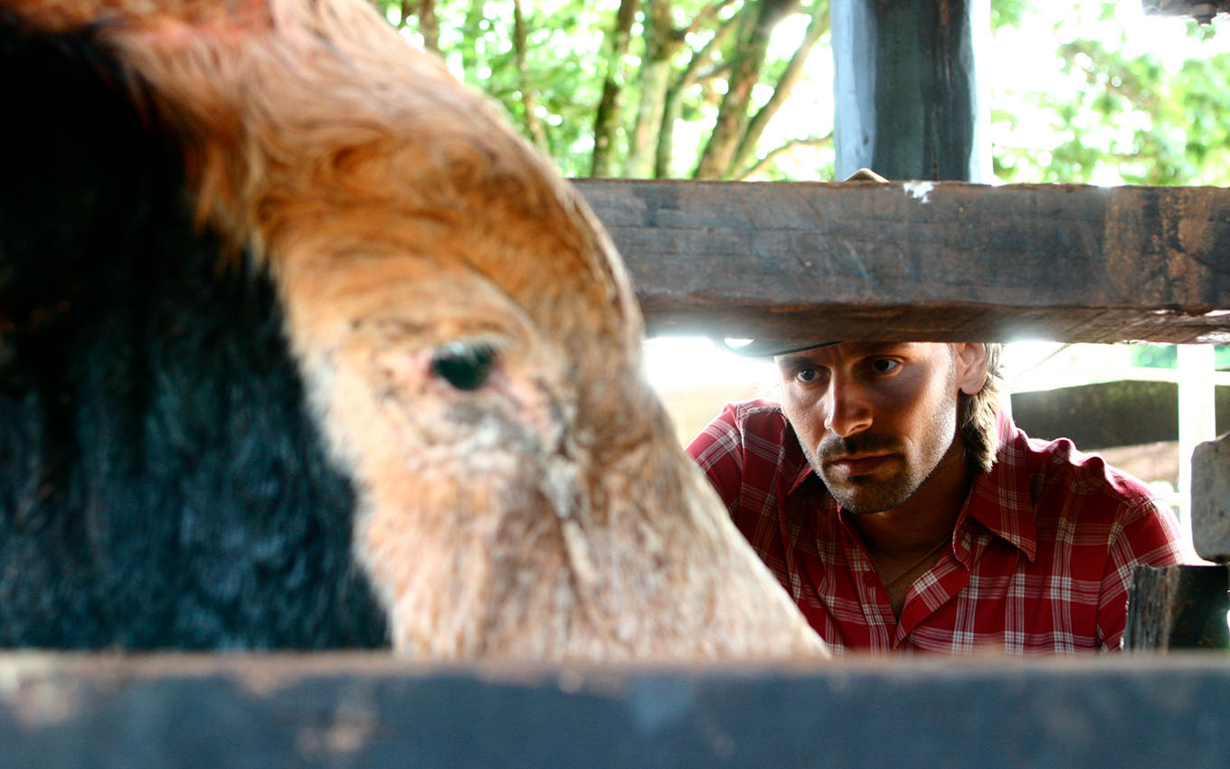 O ator Murilo Rosa como Dinho observa o touro bandido em cena de América
