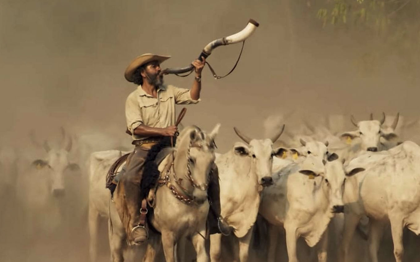 O ator Marcos Palmeira como o José Leôncio toca um berrante no meio de vários bois em cena de Pantanal
