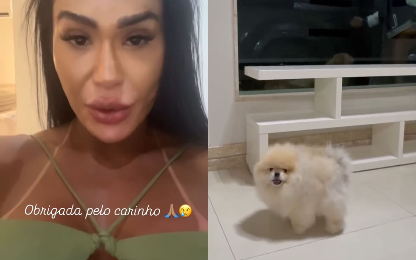 Gracyanne lamenta morte do cachorro, Thorzinho